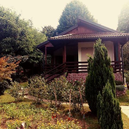 Sunny Paradise Bihać Екстериор снимка