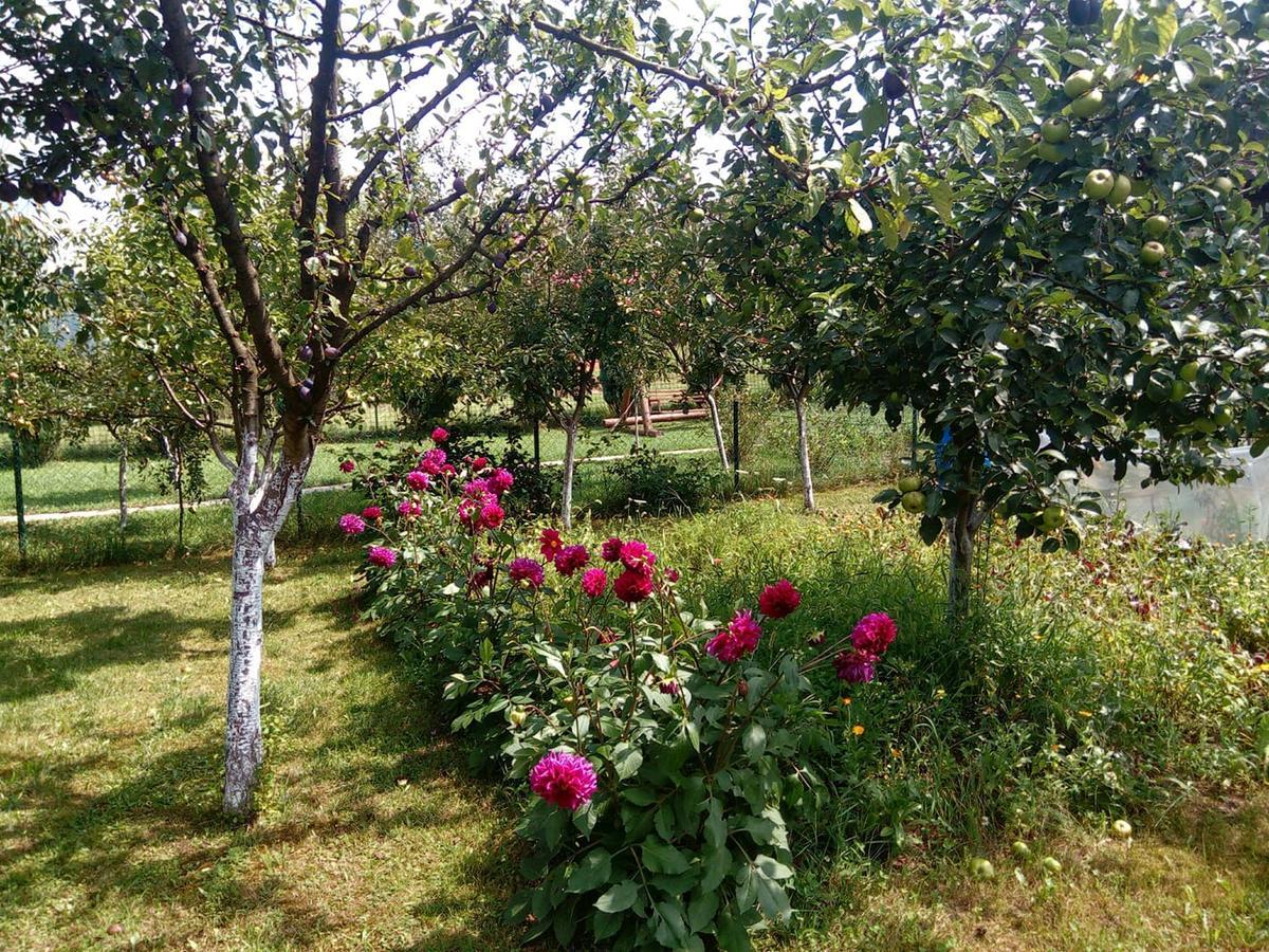 Sunny Paradise Bihać Екстериор снимка