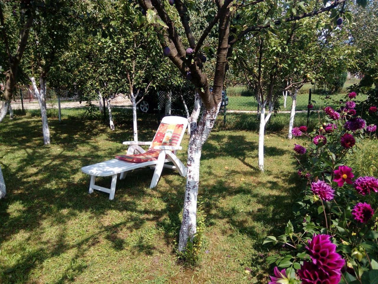 Sunny Paradise Bihać Екстериор снимка